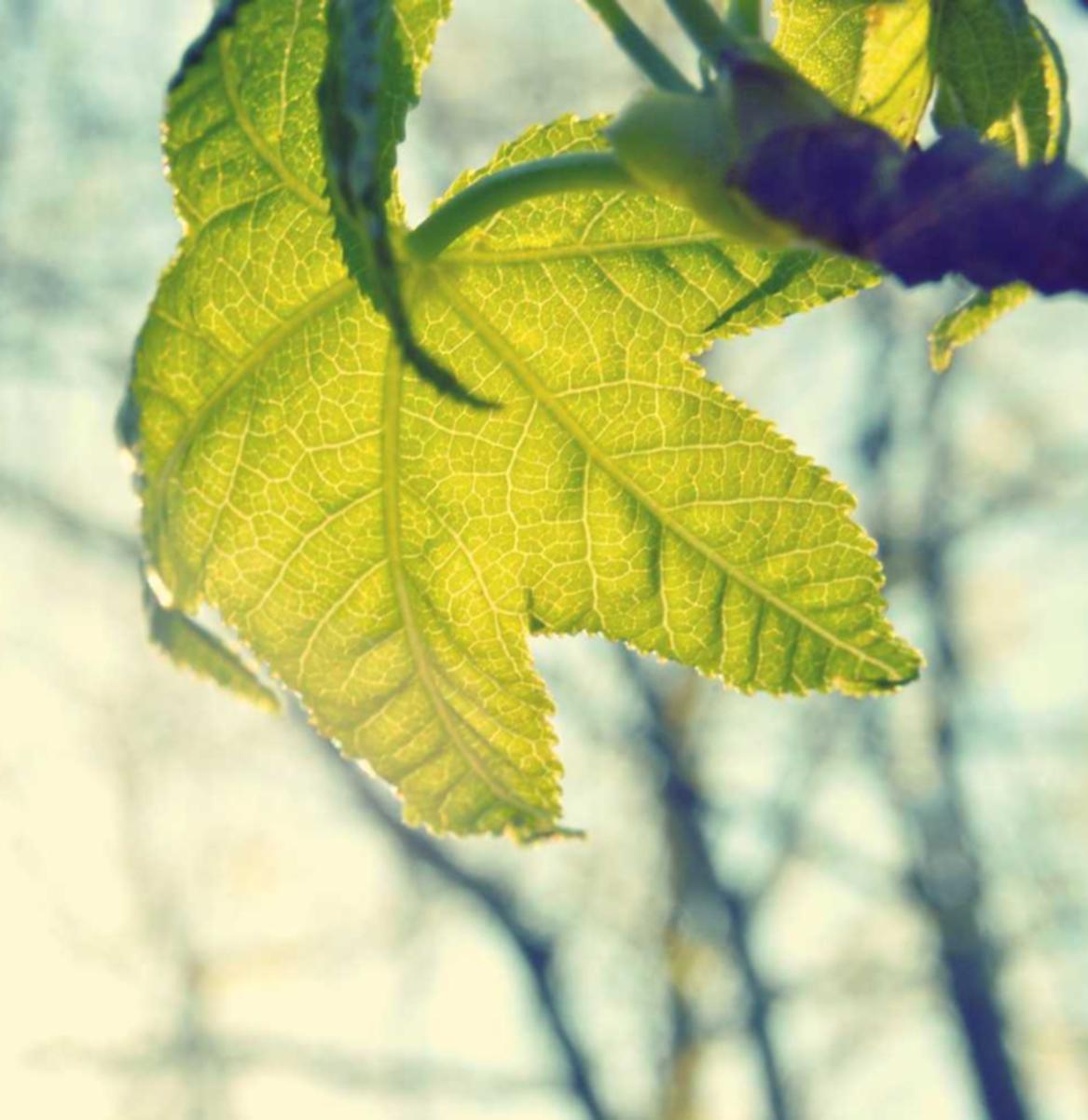 伊对实名账号:实名制如何解决社交网络网络暴力的问题?