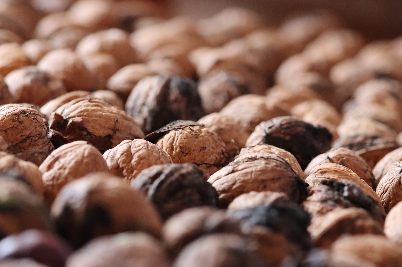 QQ仙侠传辅助- 魔盒代理平台