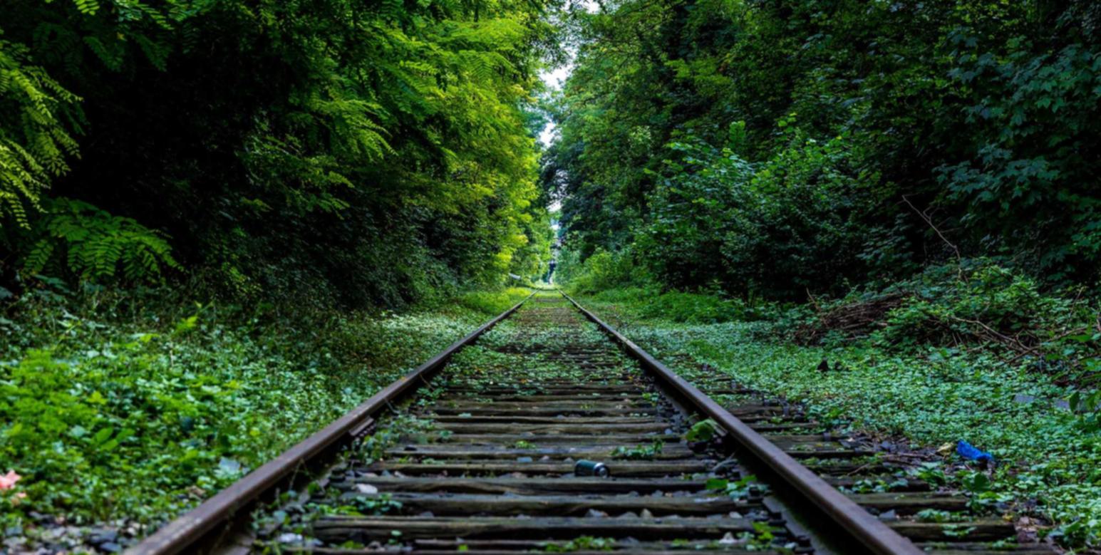 封禁技术支持人士是否应该宽大处理?