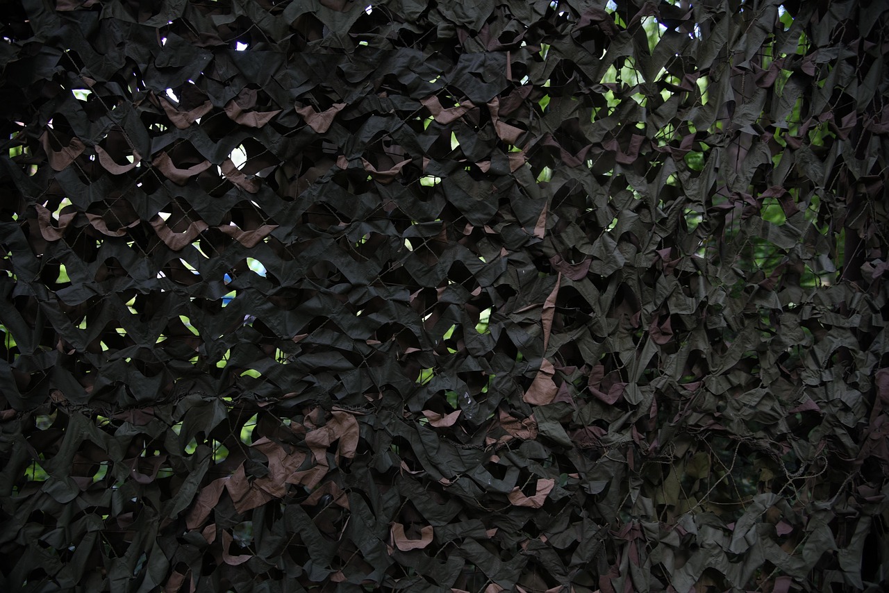 大华功夫：浙江创新货运代理系统注册