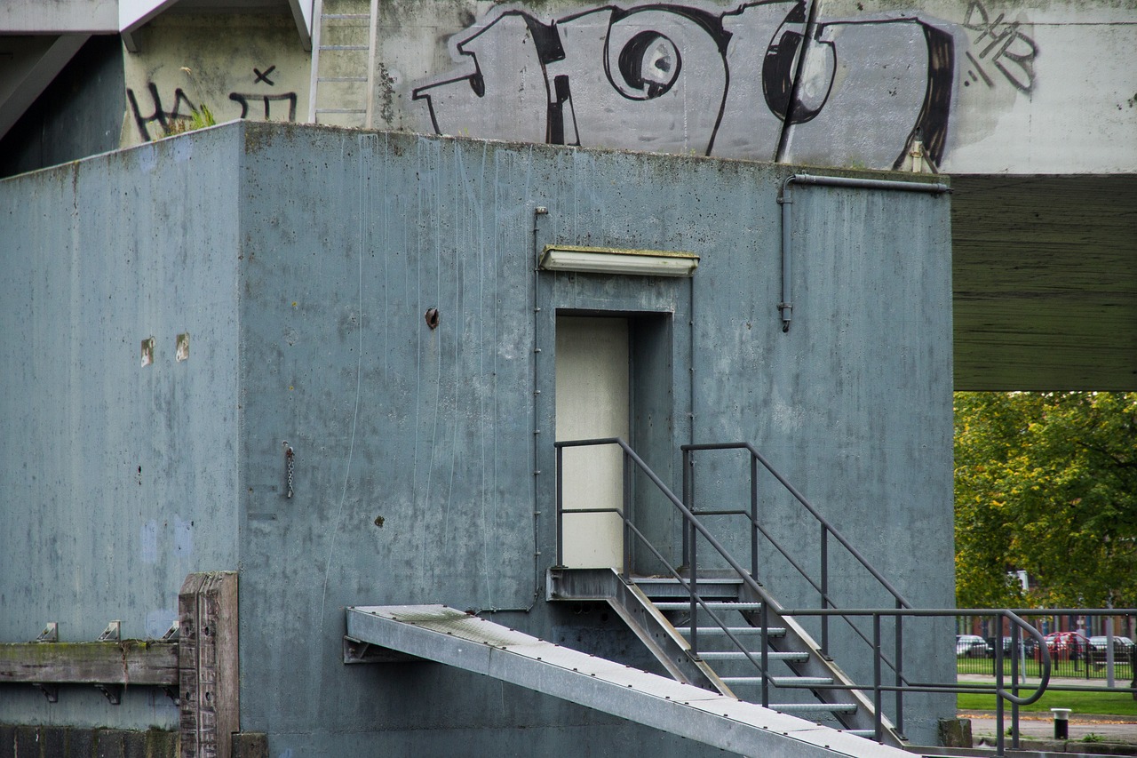 百合网实名账号：昆明书画平台代理哪个好