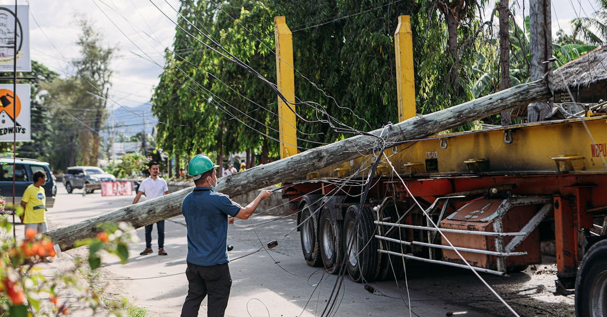 食物语：昭通工商注册代理费用标准