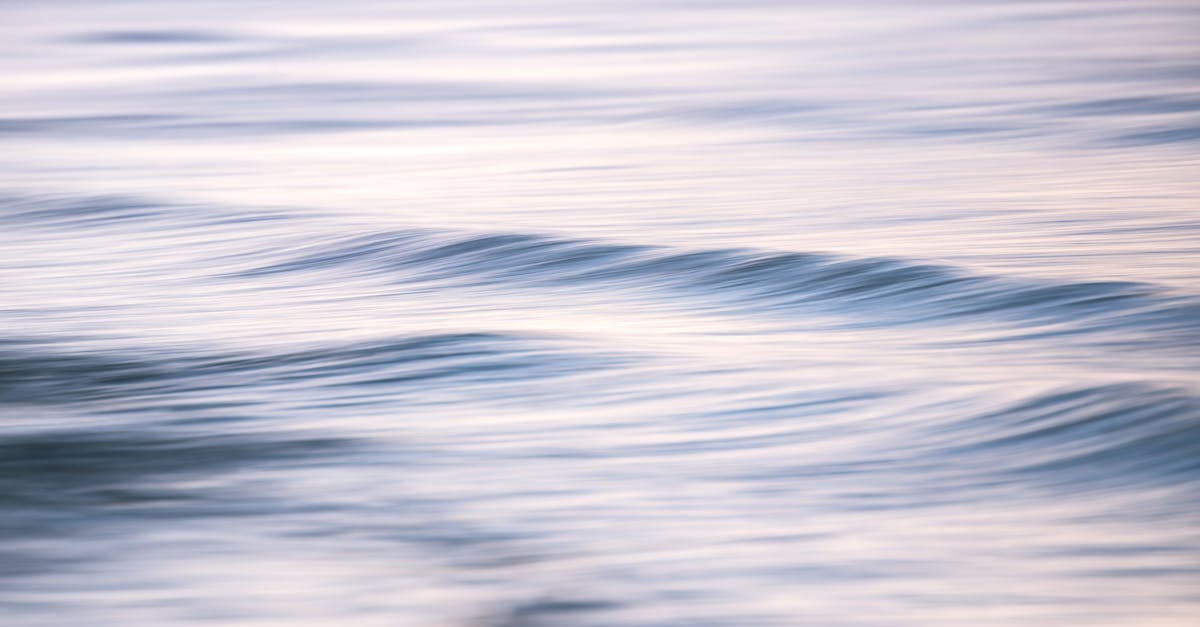 出口荷花(软):顶级吉他购买平台