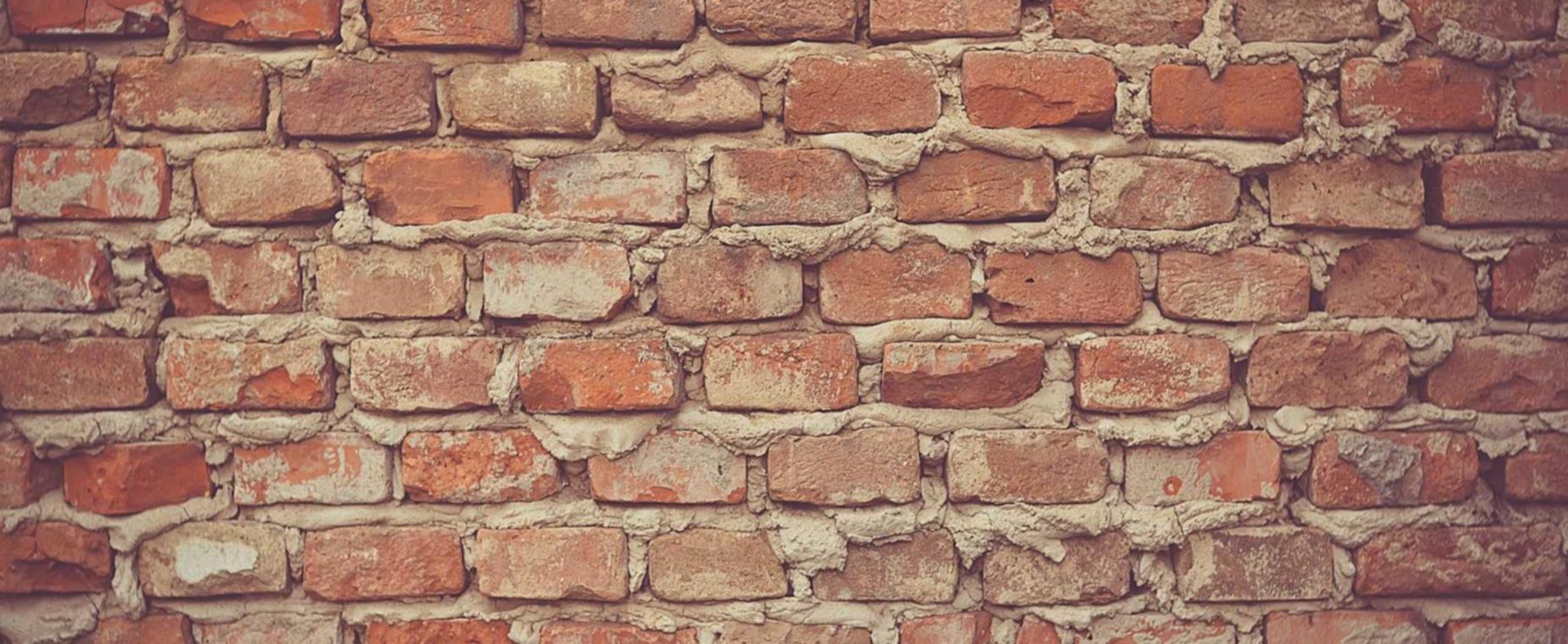 蓝梅花王：购买平台考拉