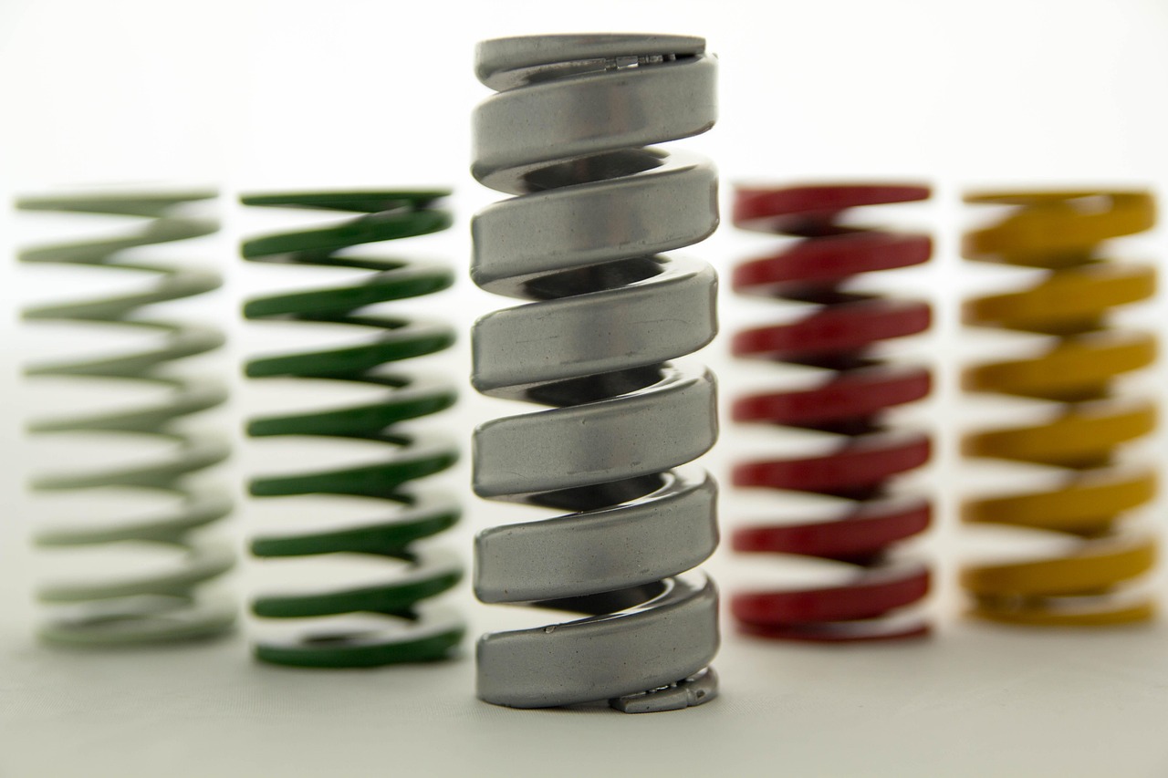 映月城与电子姬：注册软件公司代理