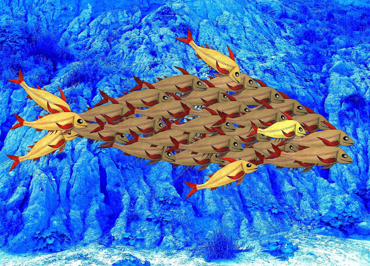 “如何根据产品的特性制定营销计划？”