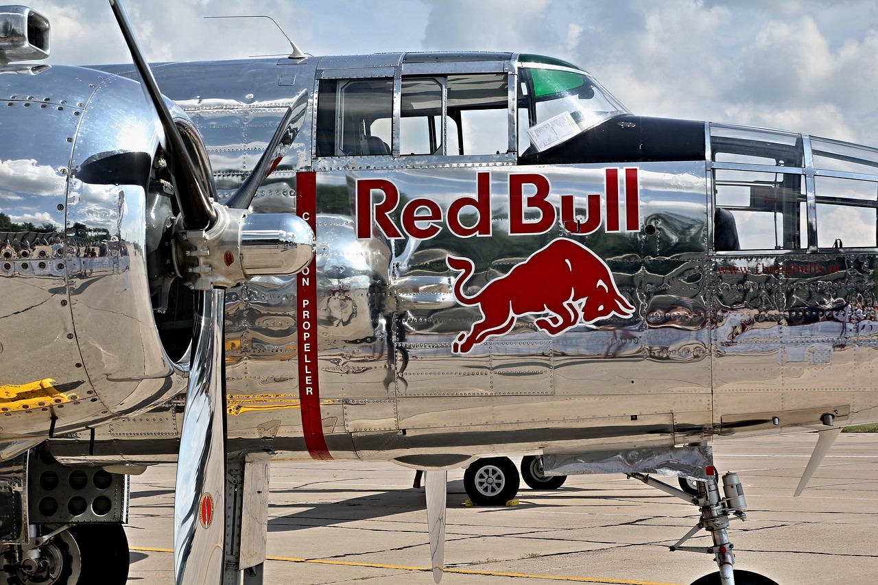 激战2 steam版:正规代理公司注册店长要求