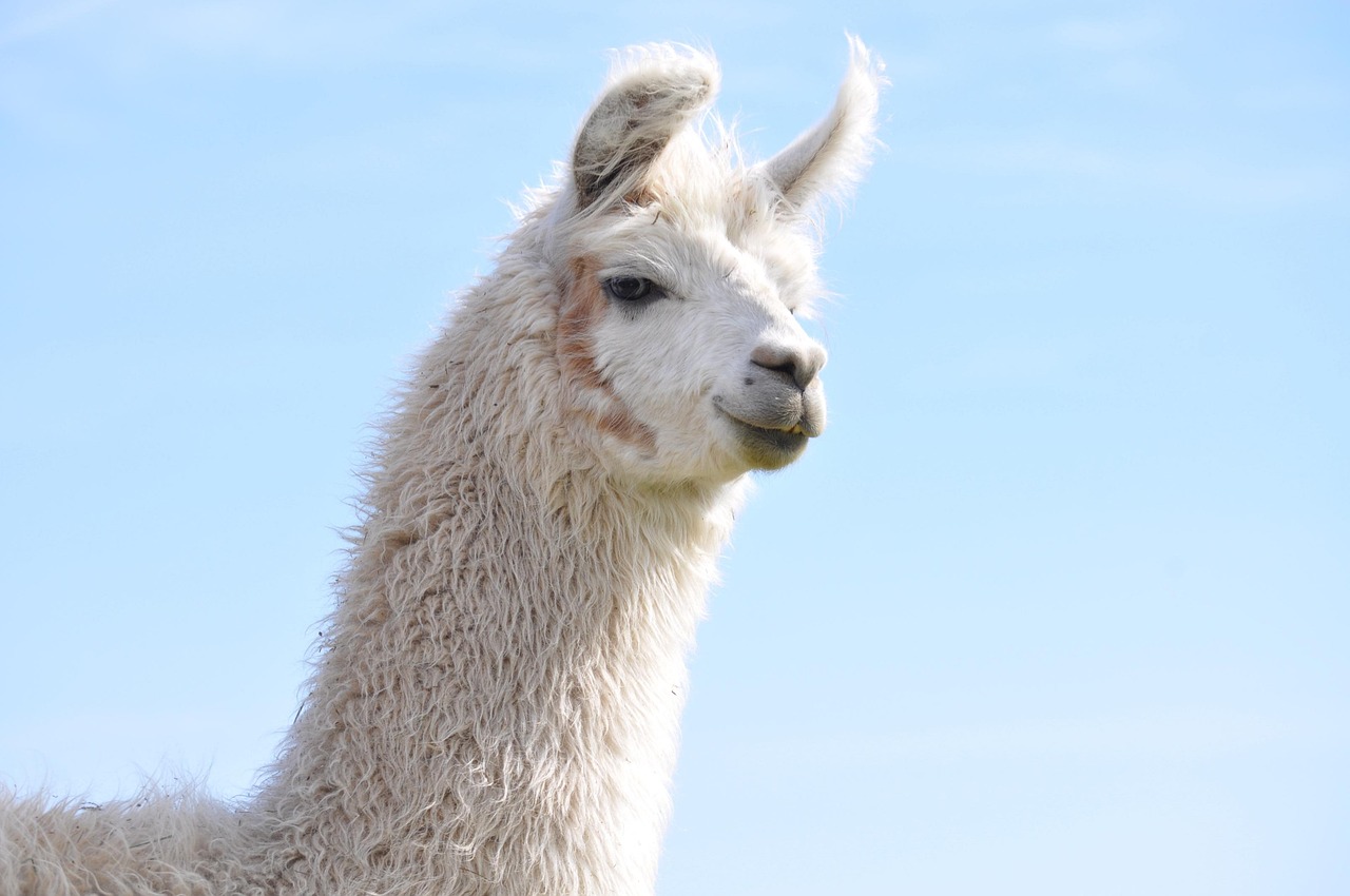 方盒欧盟太阳双爆珠：检测到已注册账号怎么办