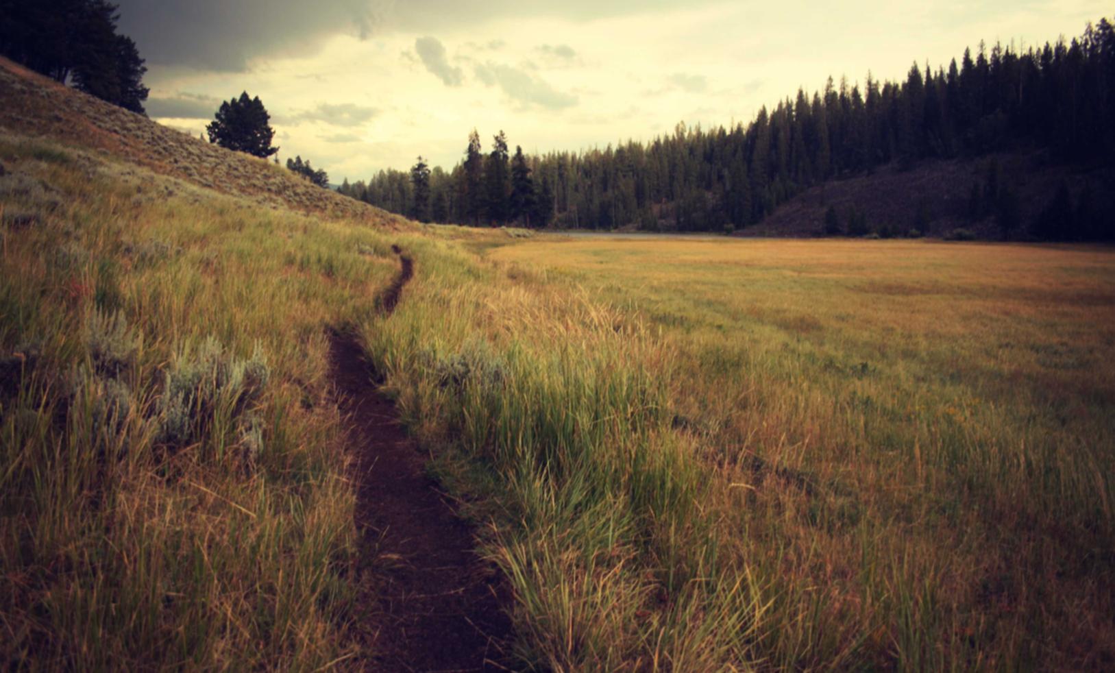 注册熊猫账号申请