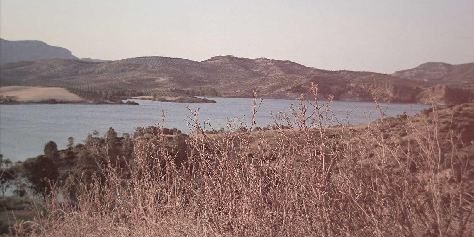 海豚之星外汇平台代理假信息