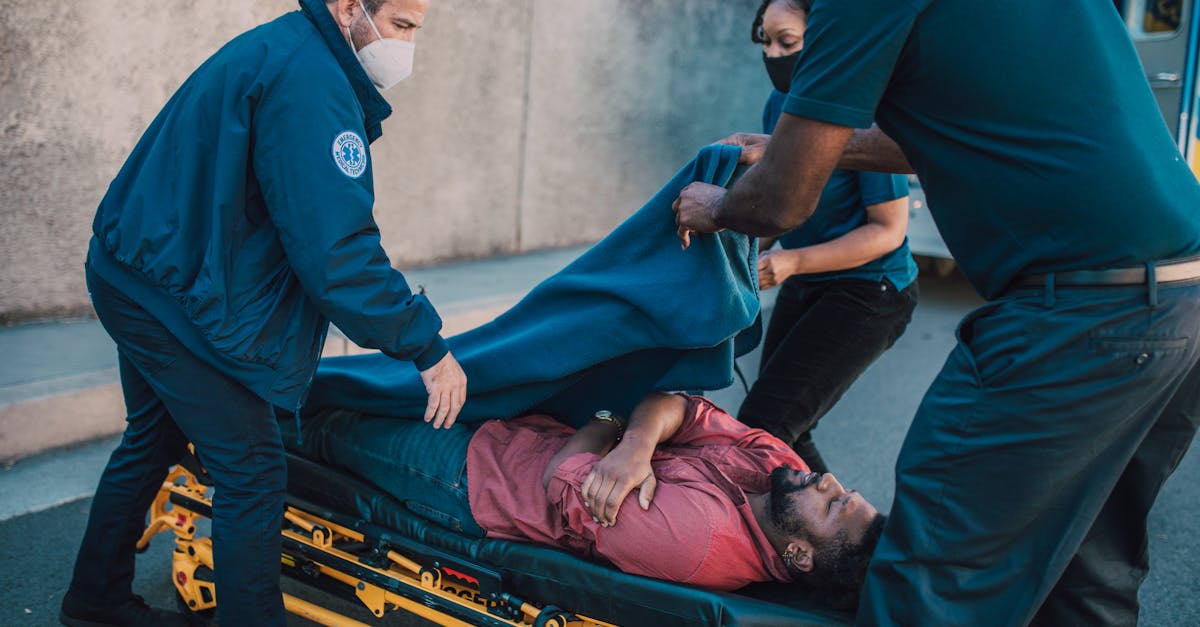 狂暴之翼辅助- 雏鸟app iOS详情下载教程