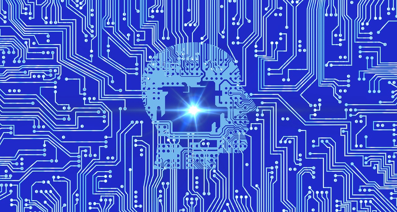 tcp攻击|衡阳宠物 购买平台